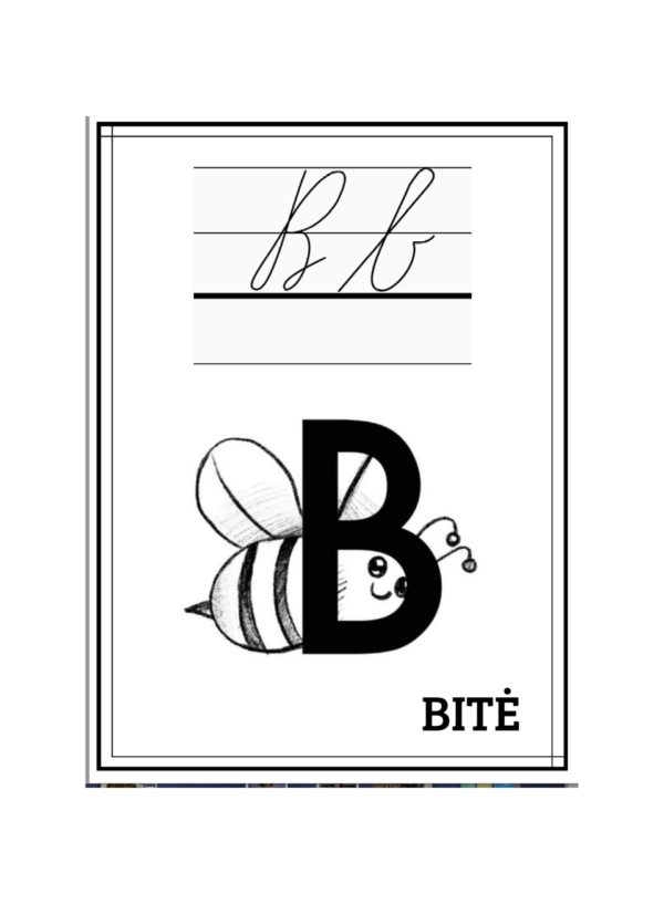 Raidynas ( rašytinės raidės)