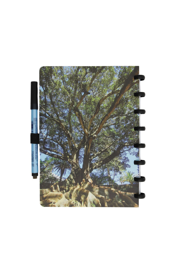 Sąsiuvinis / užrašų knygutė