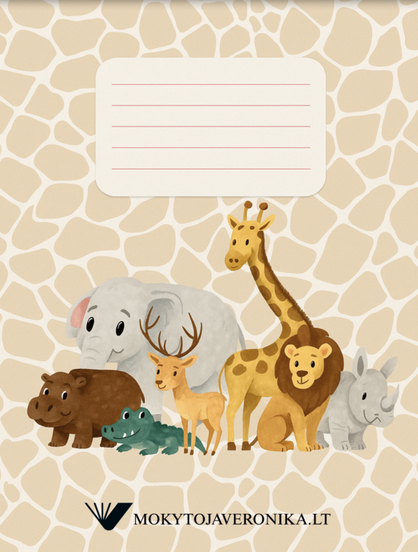 Pirmoko sąsiuviniai matematika